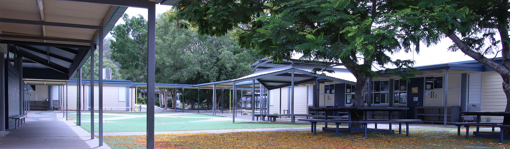 Windaroo State School campus